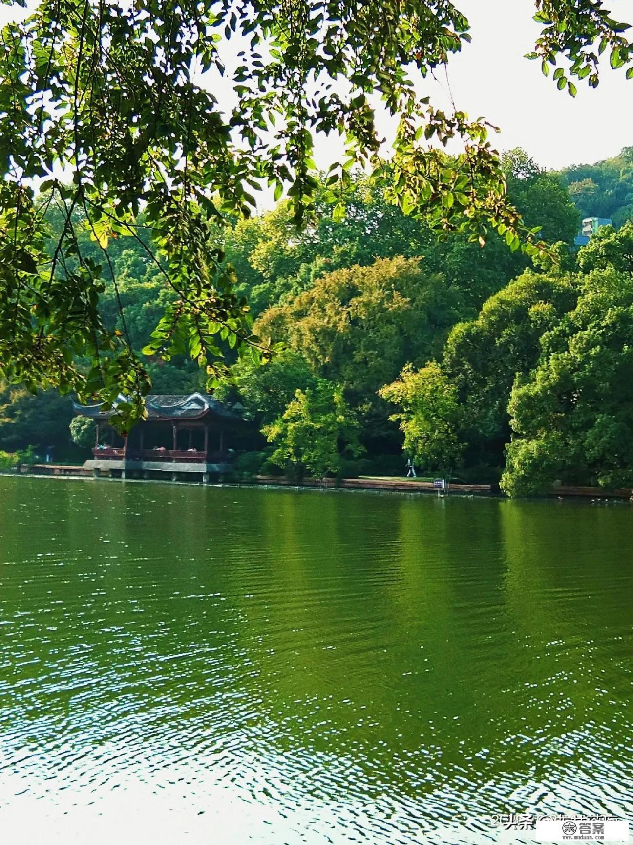 喝绿茶到底好不好_红茶与绿茶的功效有何不同