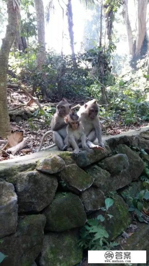 你去过哪些好玩的地方_有哪些比较好的旅游出行APP推荐