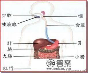 人在大限将至的时候会有什么反常举动_大便有好多形状，都代表着哪些疾病