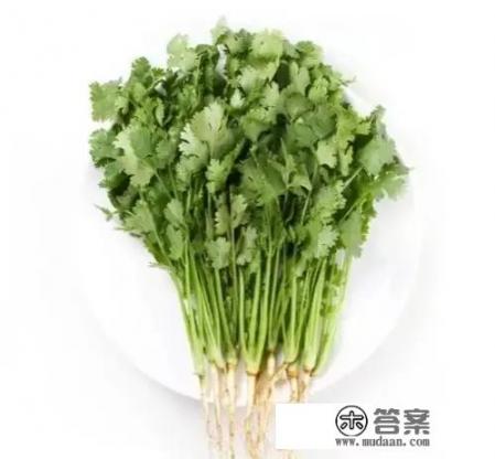 香菜为什么叫盐碎_香菜和芹菜的功效一样吗？对身体健康有什么影响