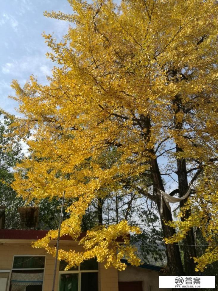 宝鸡到徽县秋季自驾游攻略_甘肃徽县旅游景点大全