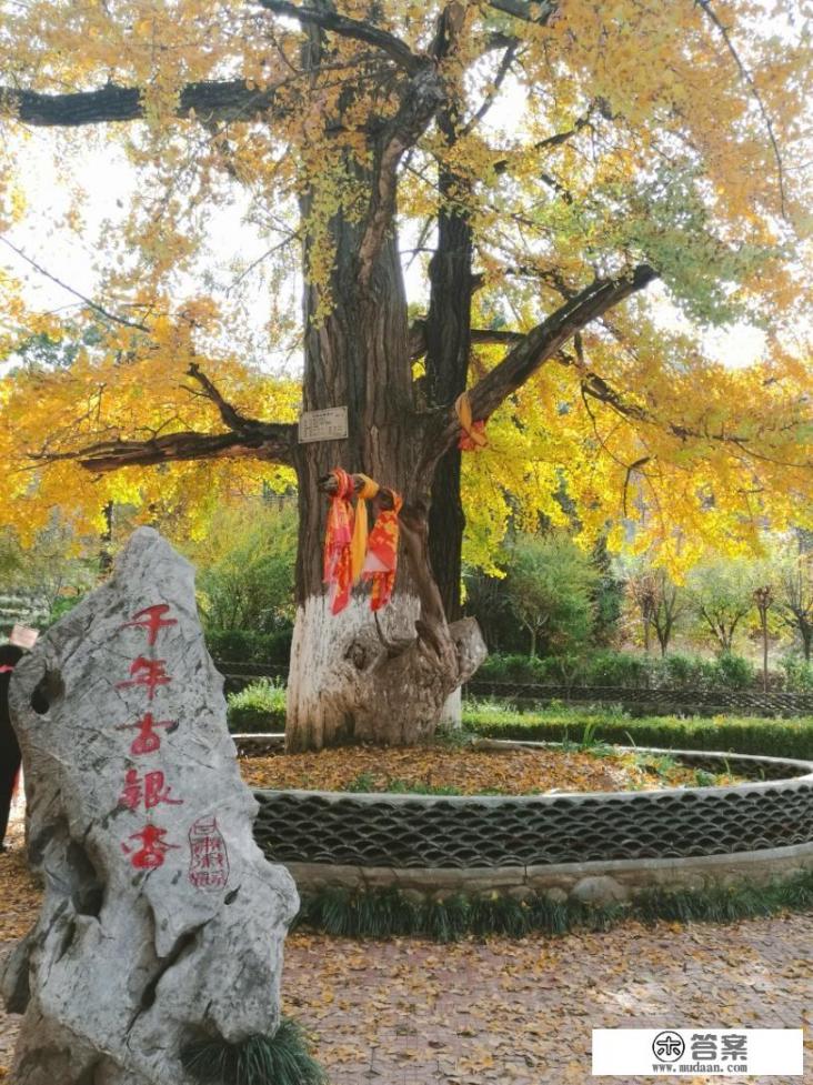 宝鸡到徽县秋季自驾游攻略_甘肃徽县旅游景点大全