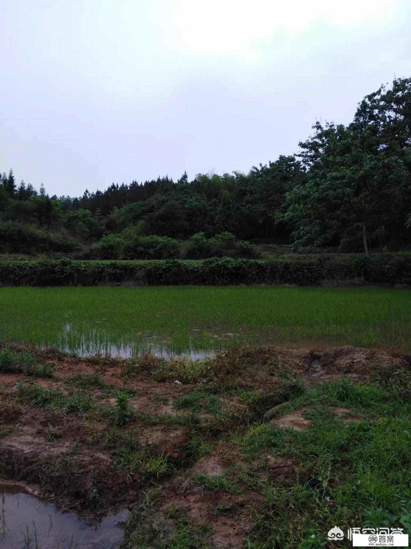 农村有什么资源适合搞旅游_旅游业赖以生存和发展的三大要素你知道是什么吗