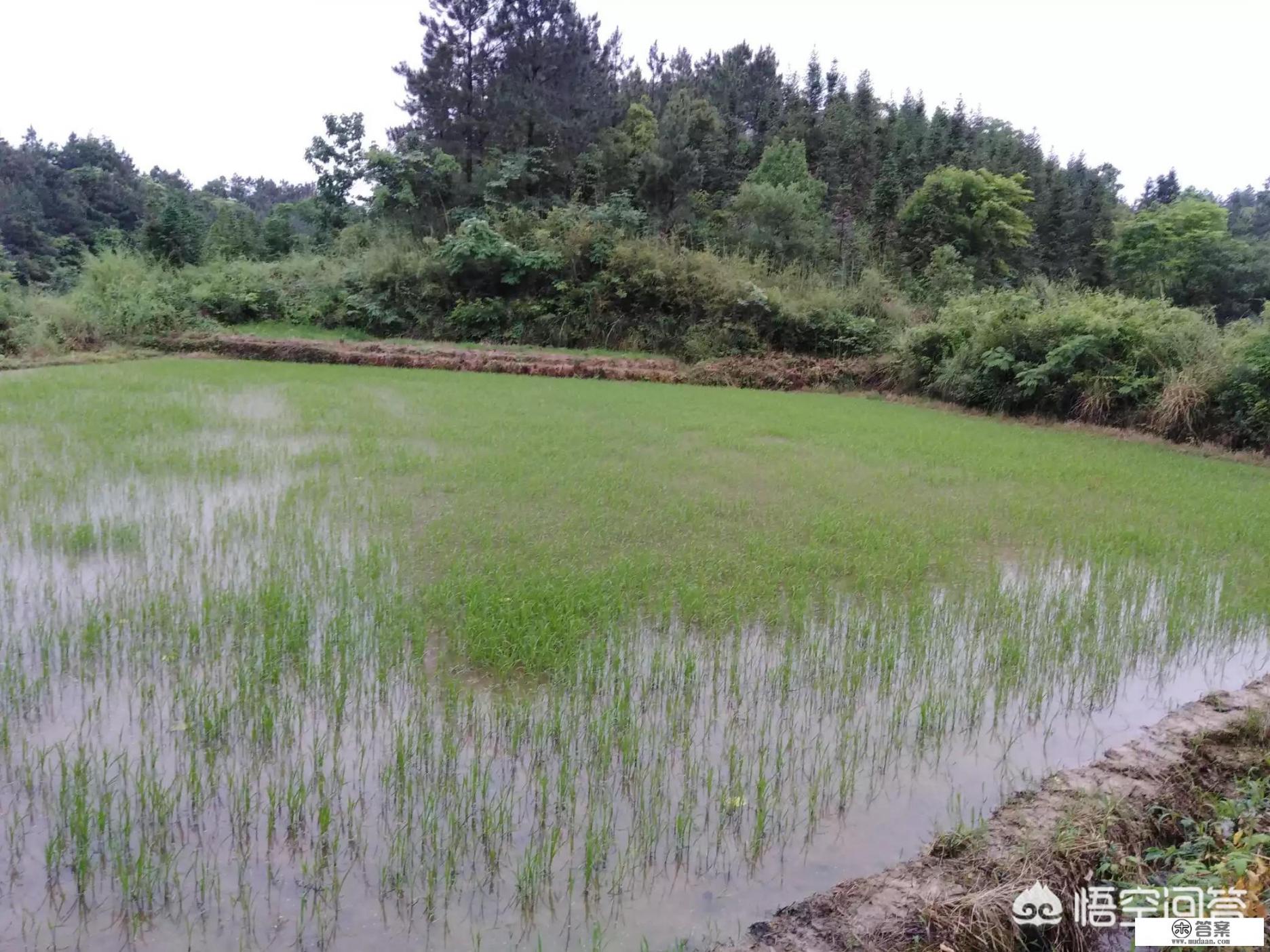 农村有什么资源适合搞旅游_旅游业赖以生存和发展的三大要素你知道是什么吗