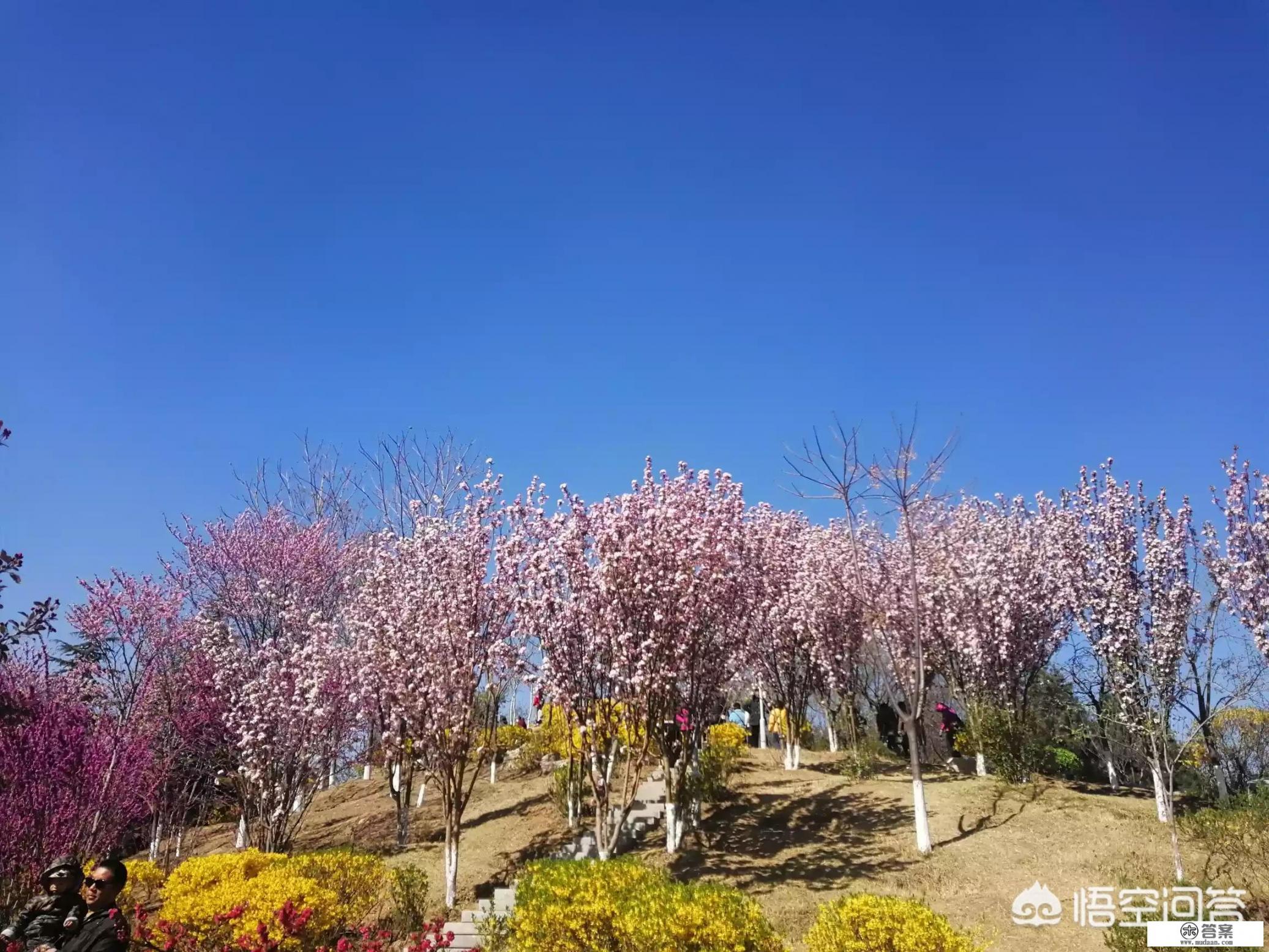 山东理工大学在山东省能排第几？它是山东省知名大学吗_自古就有：书中自有黄金屋，书中自有颜如玉，古代的人怎么理解？在现今社会又当如何