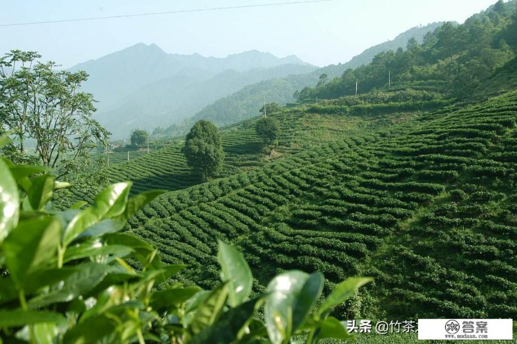 你家所在的村子叫啥？来晒一晒有趣的村子名吧_农村免费旅游观光，你愿意来吗