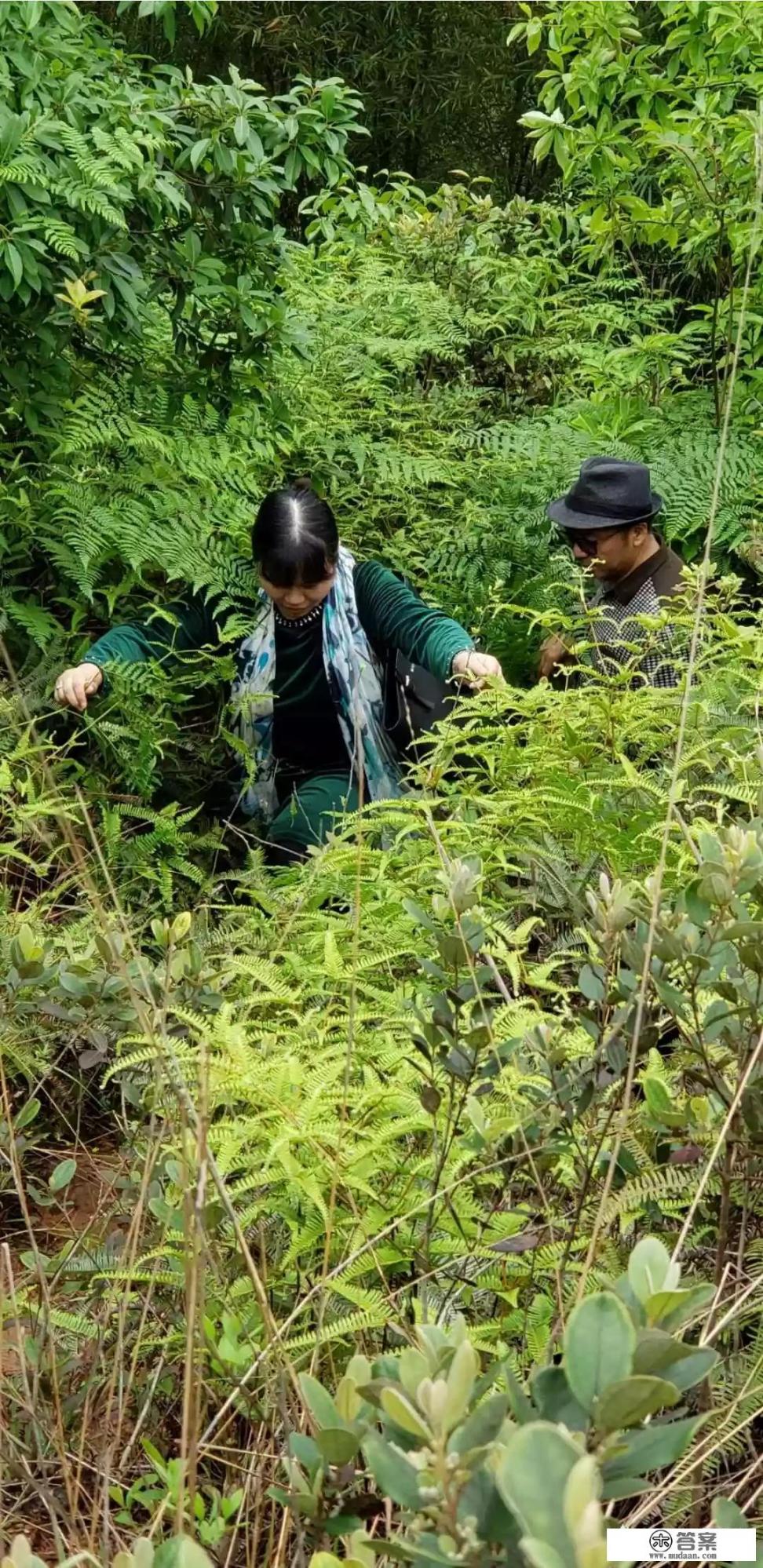 中国最美休闲养生旅游城市_观光旅游、历史文化旅游、探险旅游、长寿养生旅游等适合哪些不同年龄段