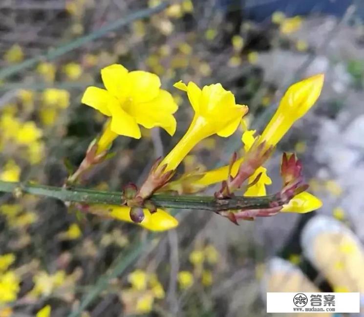 你能哂哂在头条上发表的诗词吗_青山峰顶小说免费阅读