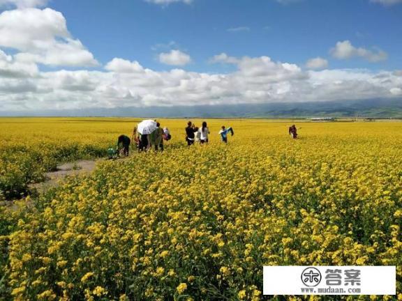 60周岁老人旅游门票有什么优惠政策_旅游票优惠