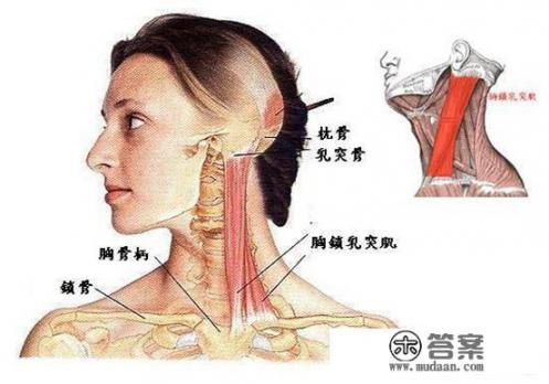 办公室一族因长期久坐造成肩颈痛，该如何缓解_疫情期间，办公室空间小，如何安全工作？同事不戴口罩怎么办