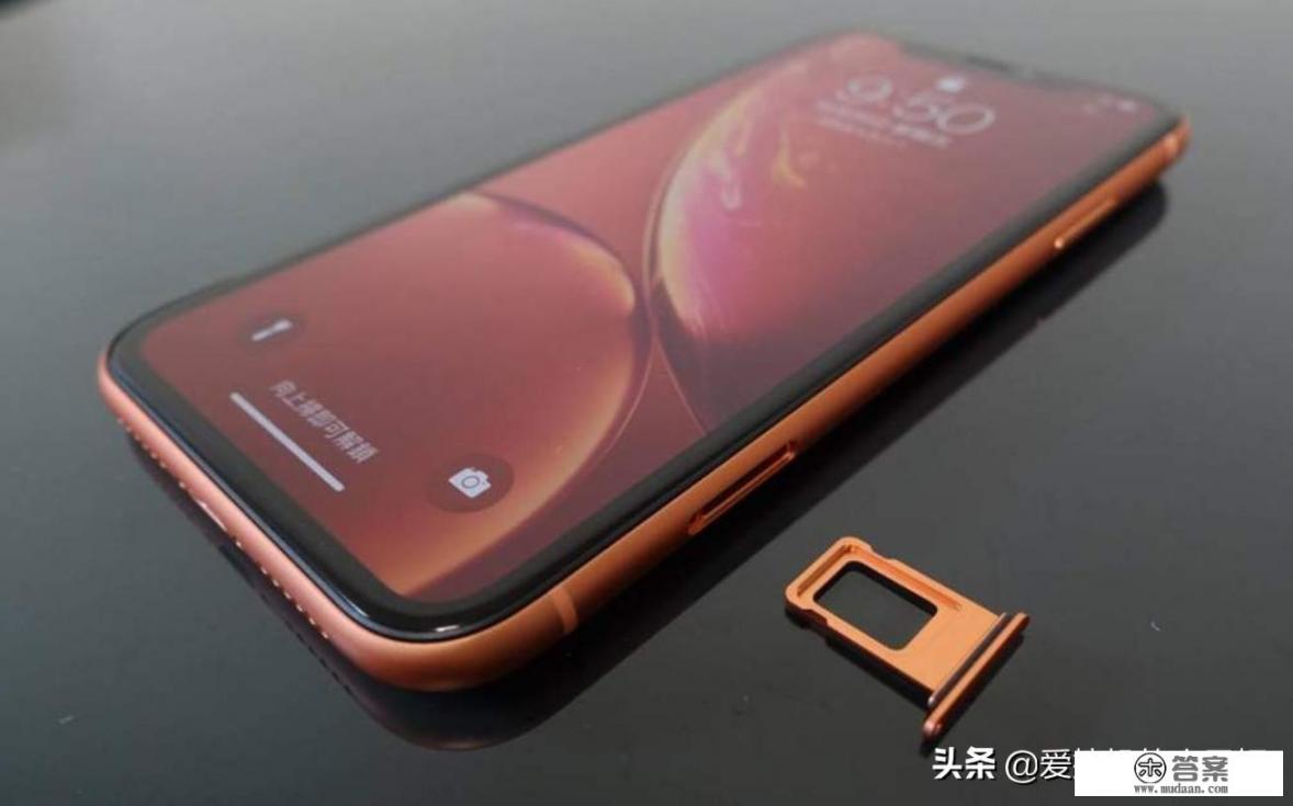 iPhone XR和SE 2代谁更值得买_se2和xr买哪个比较好