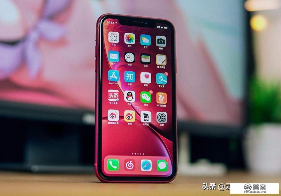 iPhone XR和SE 2代谁更值得买_se2和xr买哪个比较好