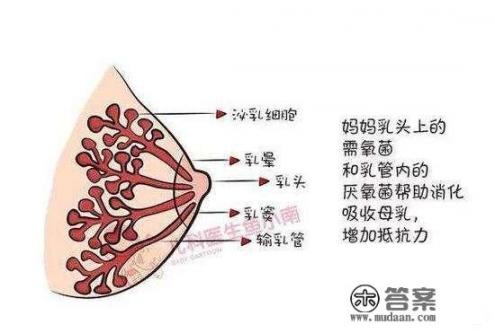 给宝宝喂奶，感觉宝宝喝的太少_中医有哪些朗朗上口的顺口溜