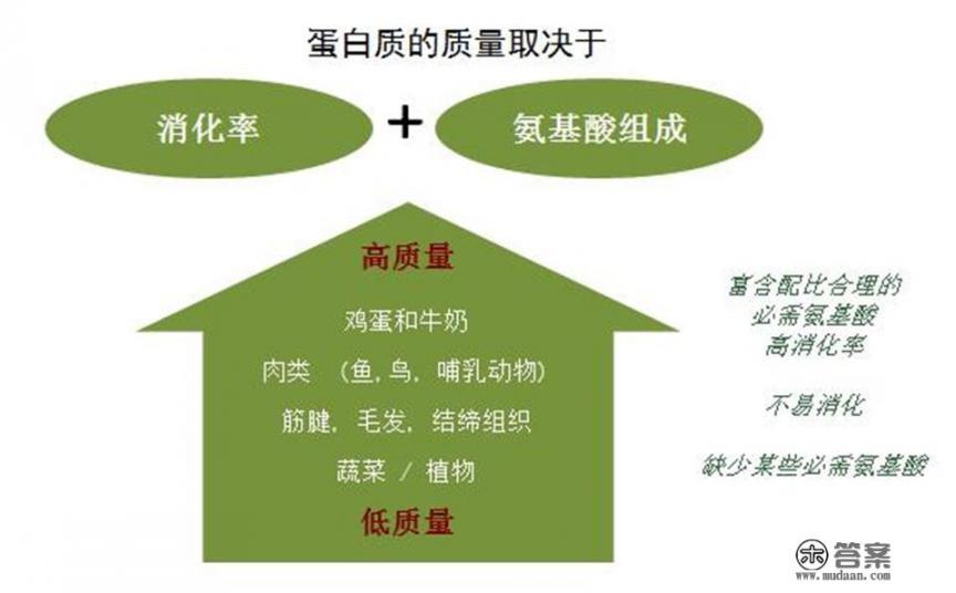 学习什么东西可以使自己得到提升_除了鸡蛋白，还有什么食物具有高蛋白质？营养价值如何