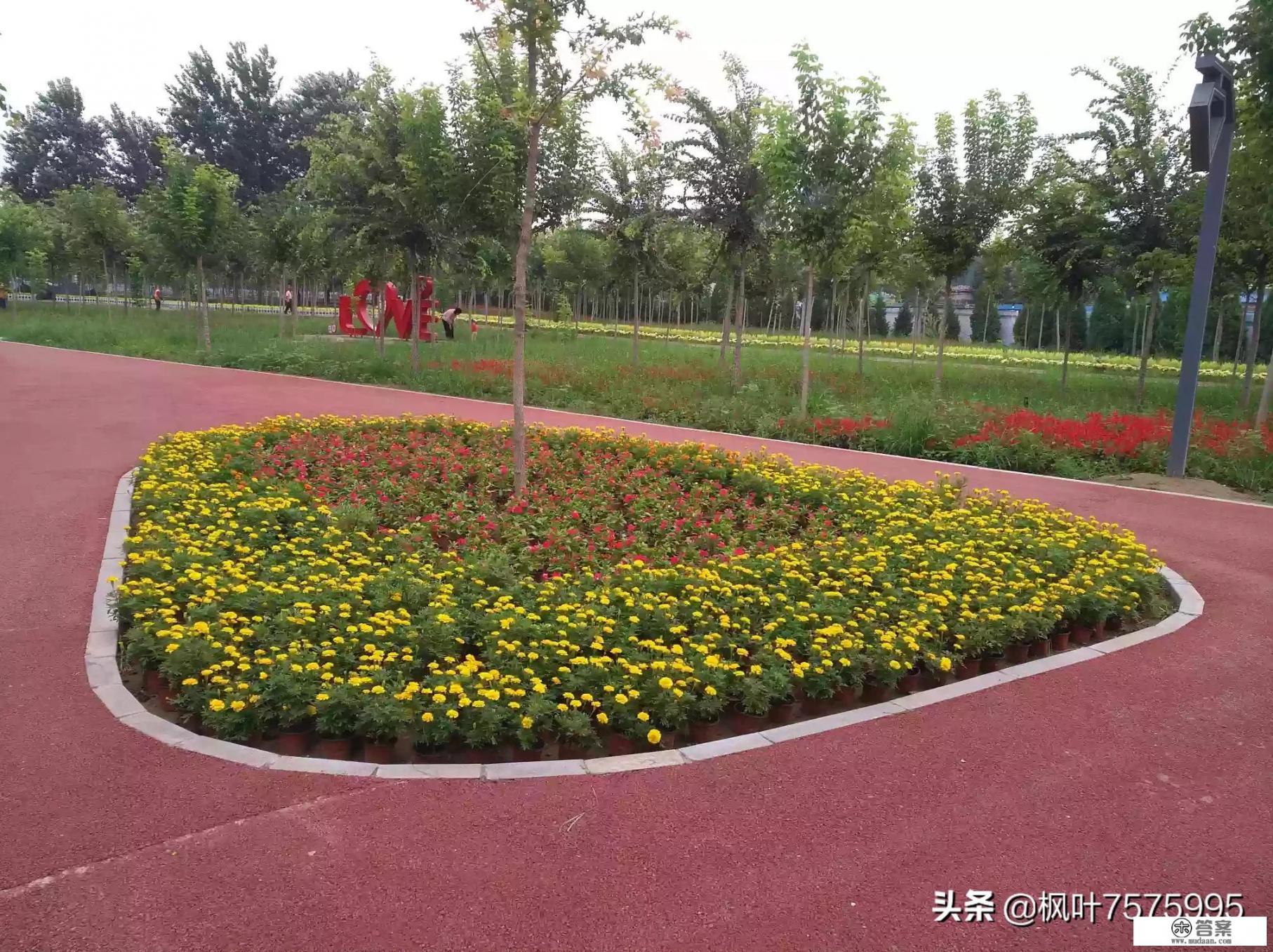 辛集旅游景点有什么_辛集 旅游