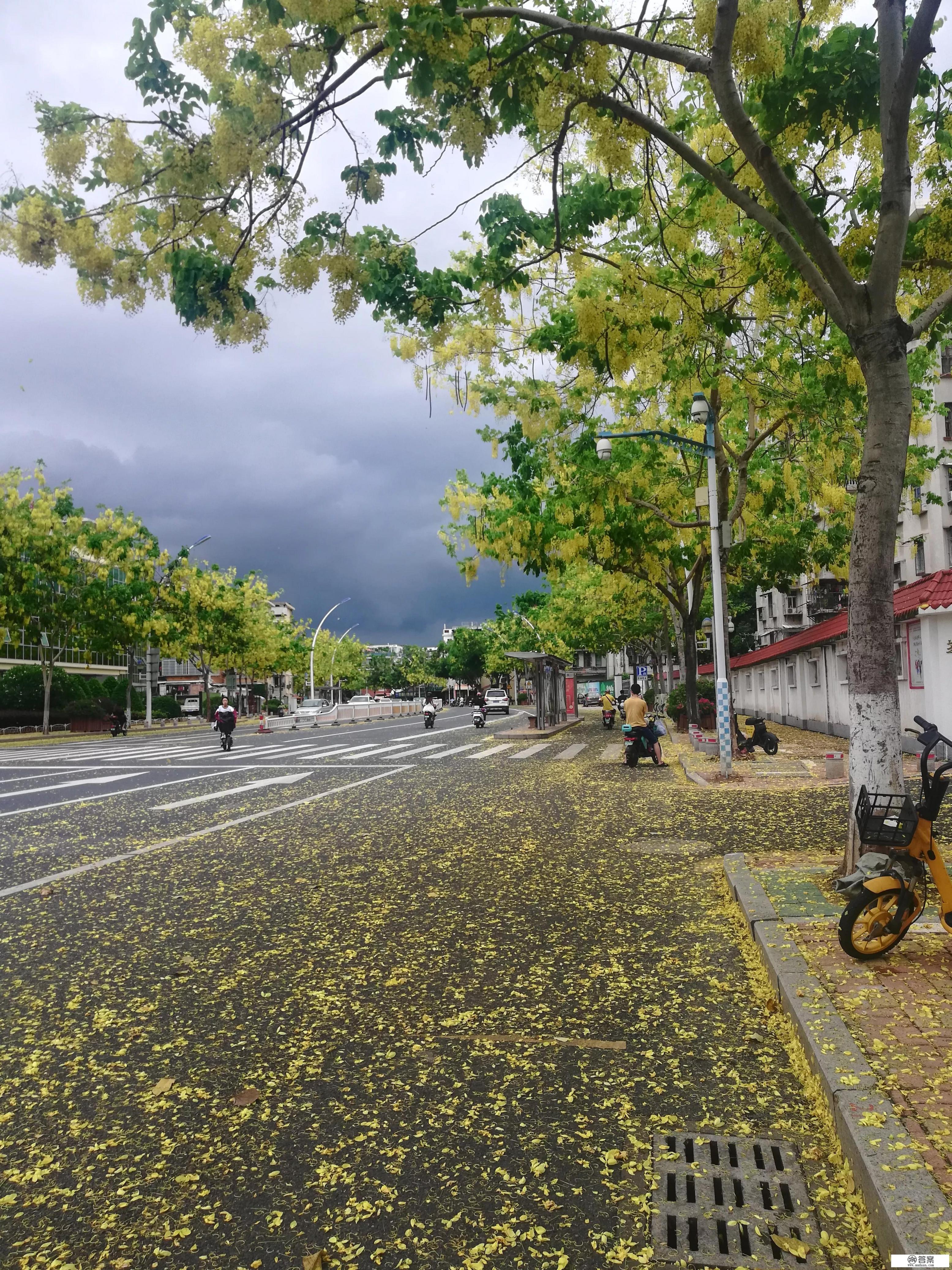 福建漳州被评为最宜居的城市，你认为漳州是个怎样的地方_过年去漳州旅游怎么样