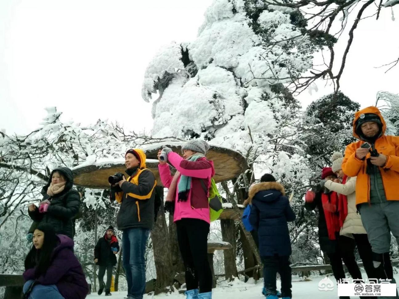 你觉得文明旅游的要求是什么_文明旅游知识