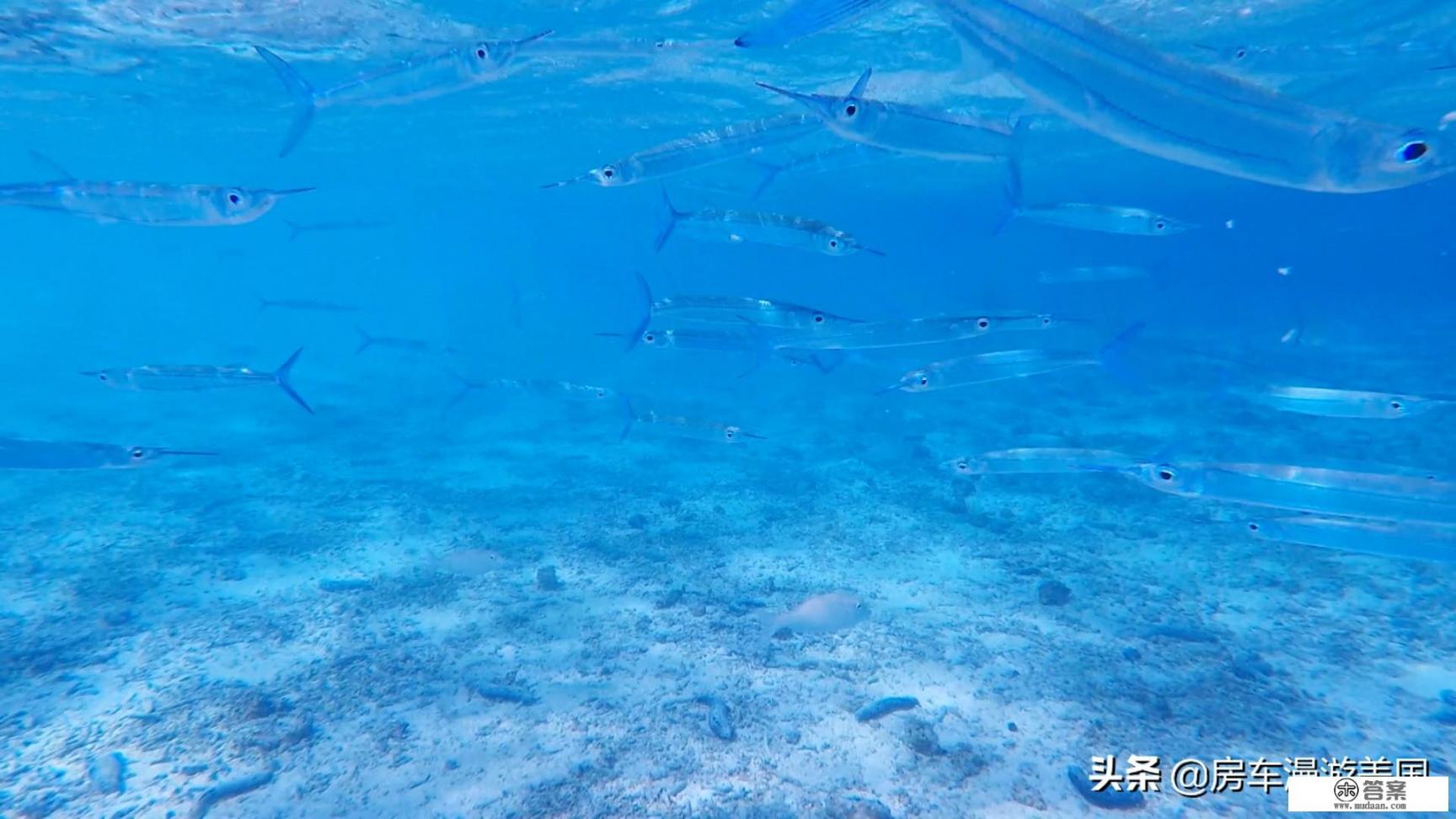 2021年还能去塞班岛旅游吗_塞班岛（Saipan）旅游有什么好玩地方