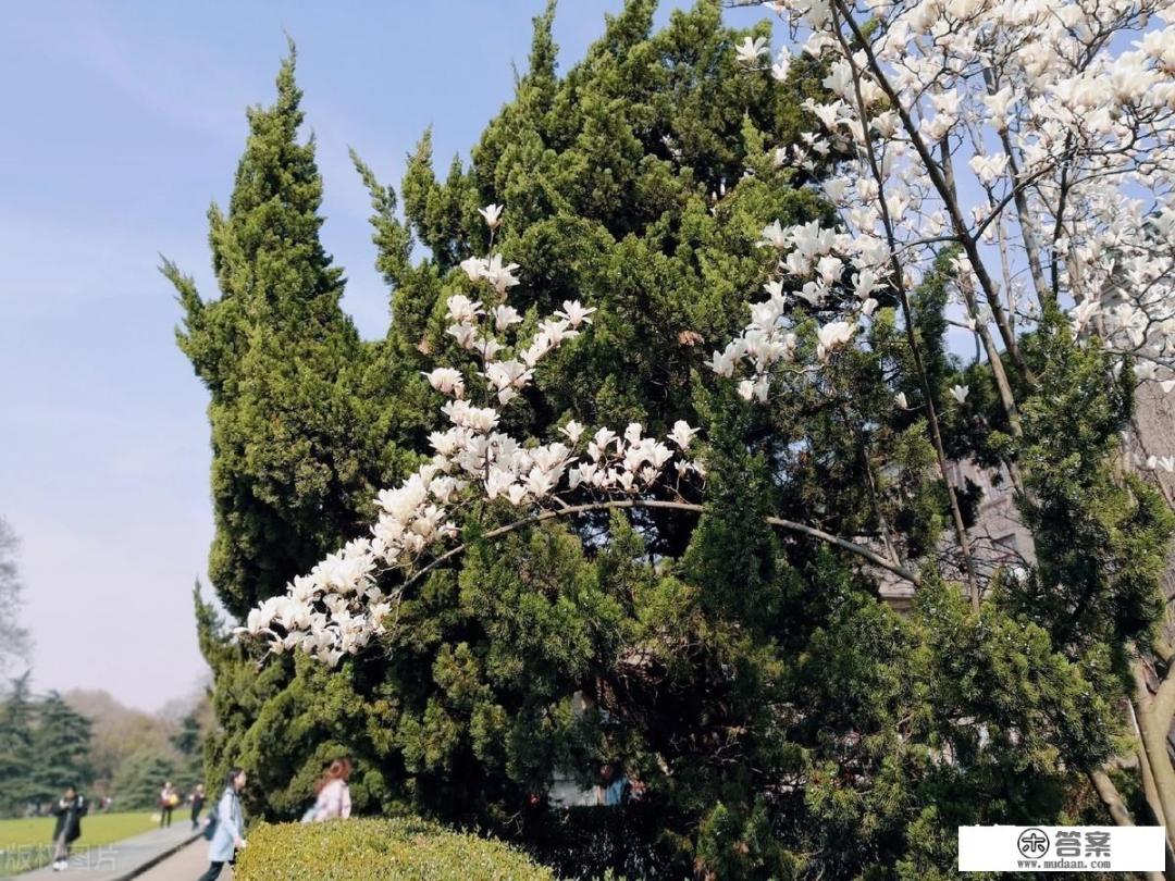 中国有哪些农业大学很厉害？具体排名情况是怎样的_你们认为武汉纺织大学是一所怎样的学校