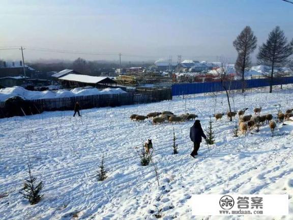 有哪些国内城市适合 寒假旅游_你认为中国人必须去的十大旅游景点是什么地方