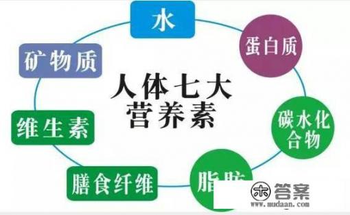 一个人每天的营养保证，到底吃些什么才能更健康呢_什么是营养质量指数