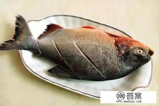 平常吃的清蒸鱼做法有哪些