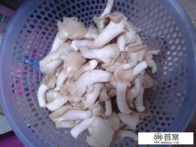 青椒炒香菇家常做法