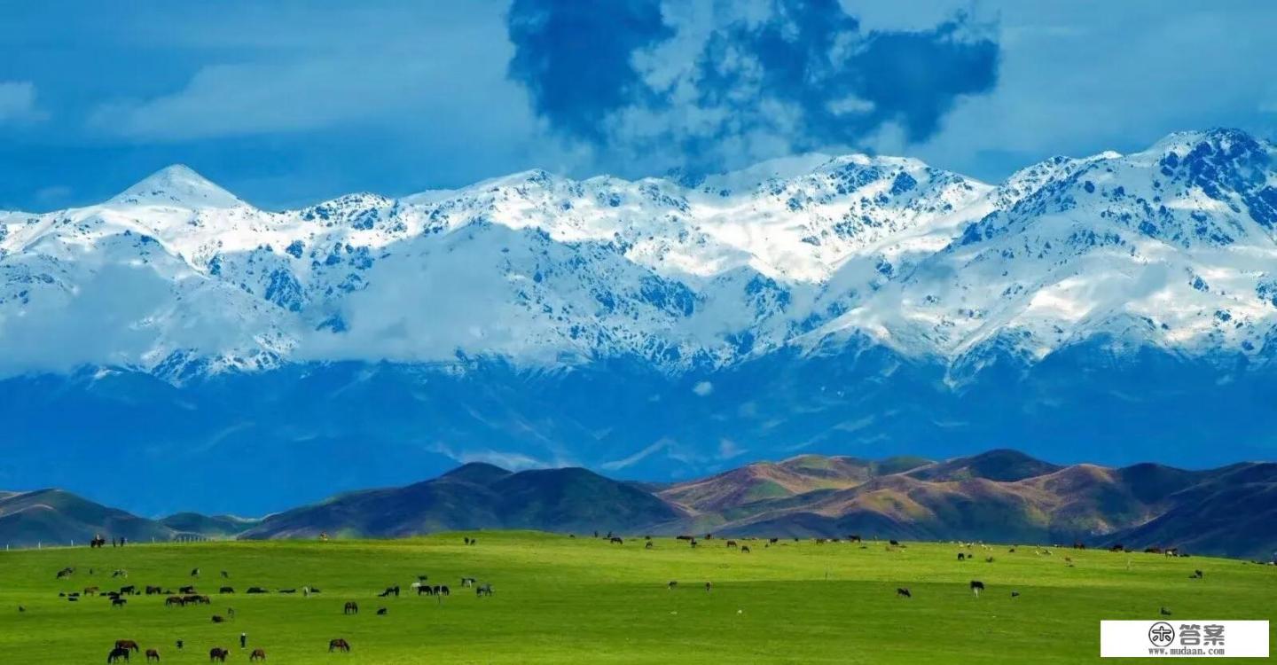 内地的游客可以在本地组团游新疆吗