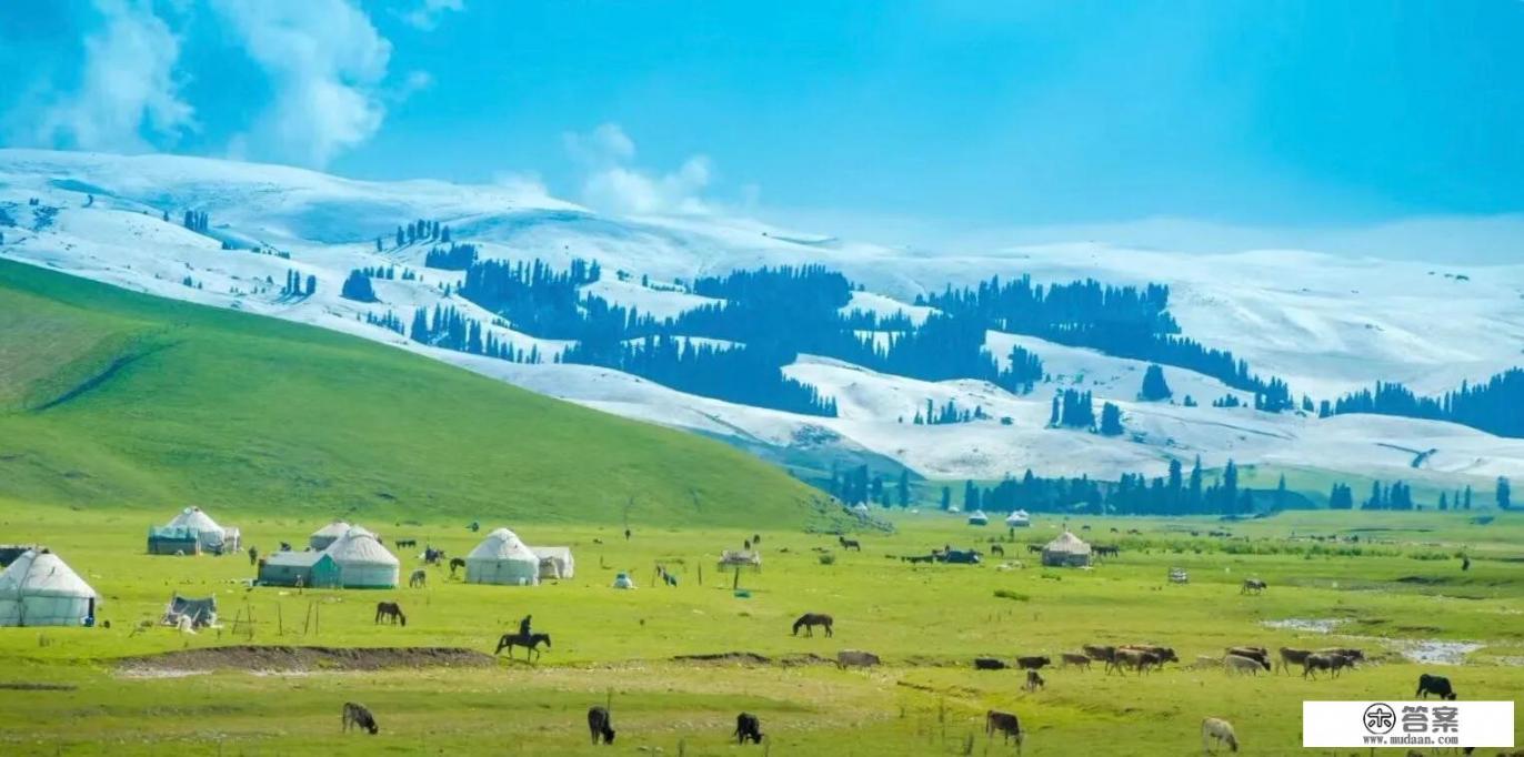 内地的游客可以在本地组团游新疆吗
