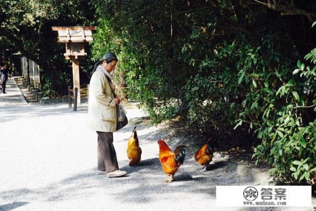 家里管很严的出去玩找什么借口