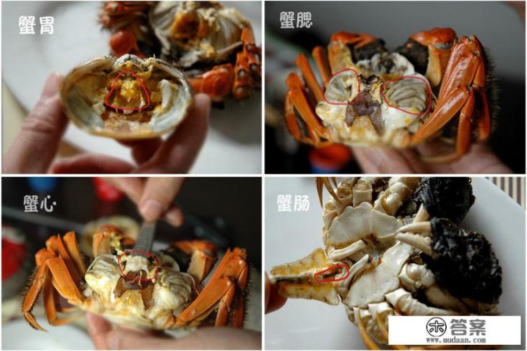 螃蟹的哪些部位不能吃