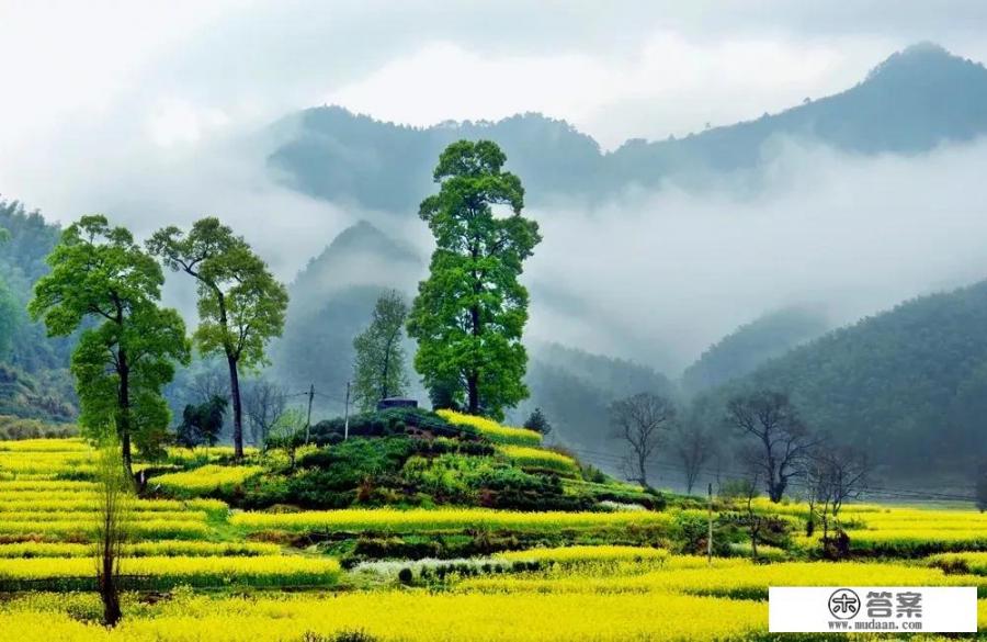 春暖花开的三月，你想去哪儿旅游？你想去哪儿踏青赏花