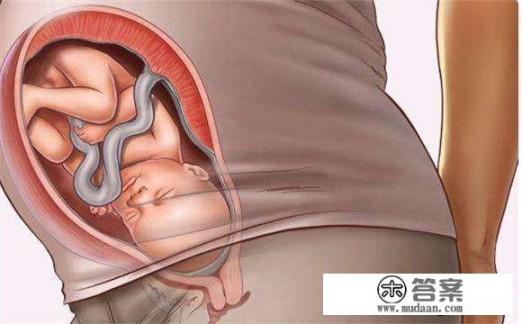 胎儿是不是在最后一个月会长得很快