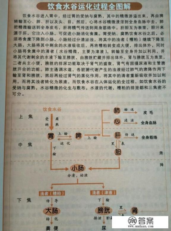 老年人补血补气吃什么最好