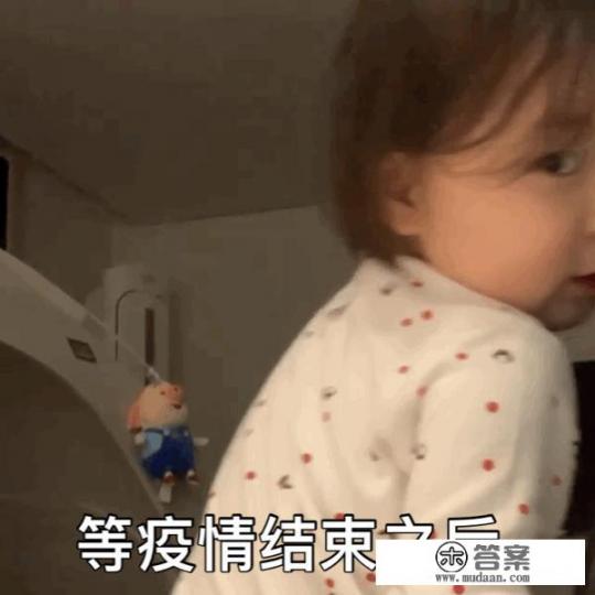 Bjd娃娃熊妹兔妹区别