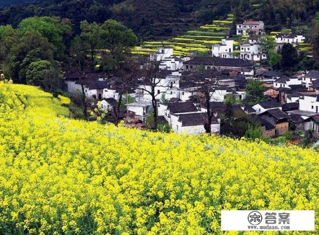 江西省婺源县旅游景点