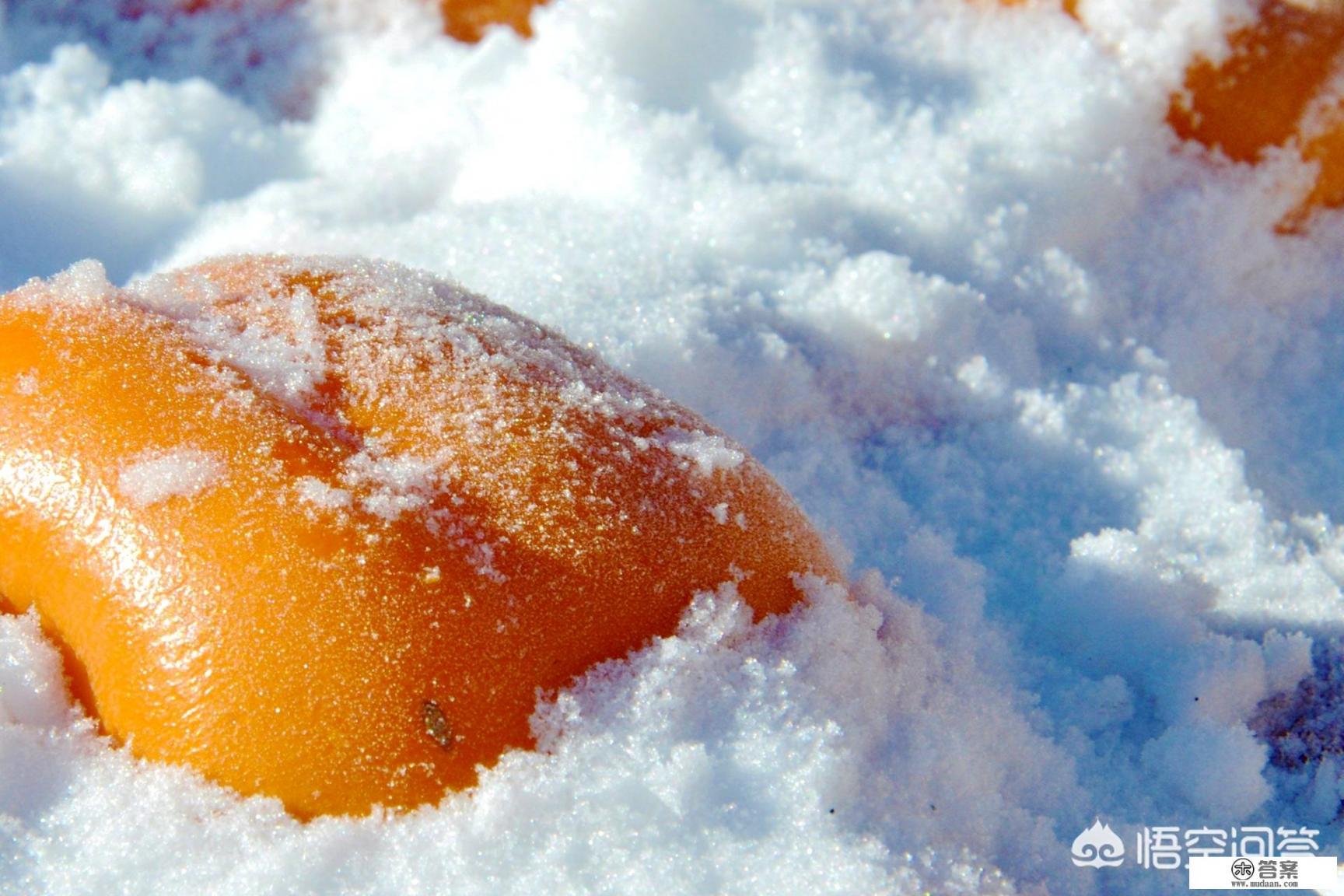 东北哪里有雪乡旅游点