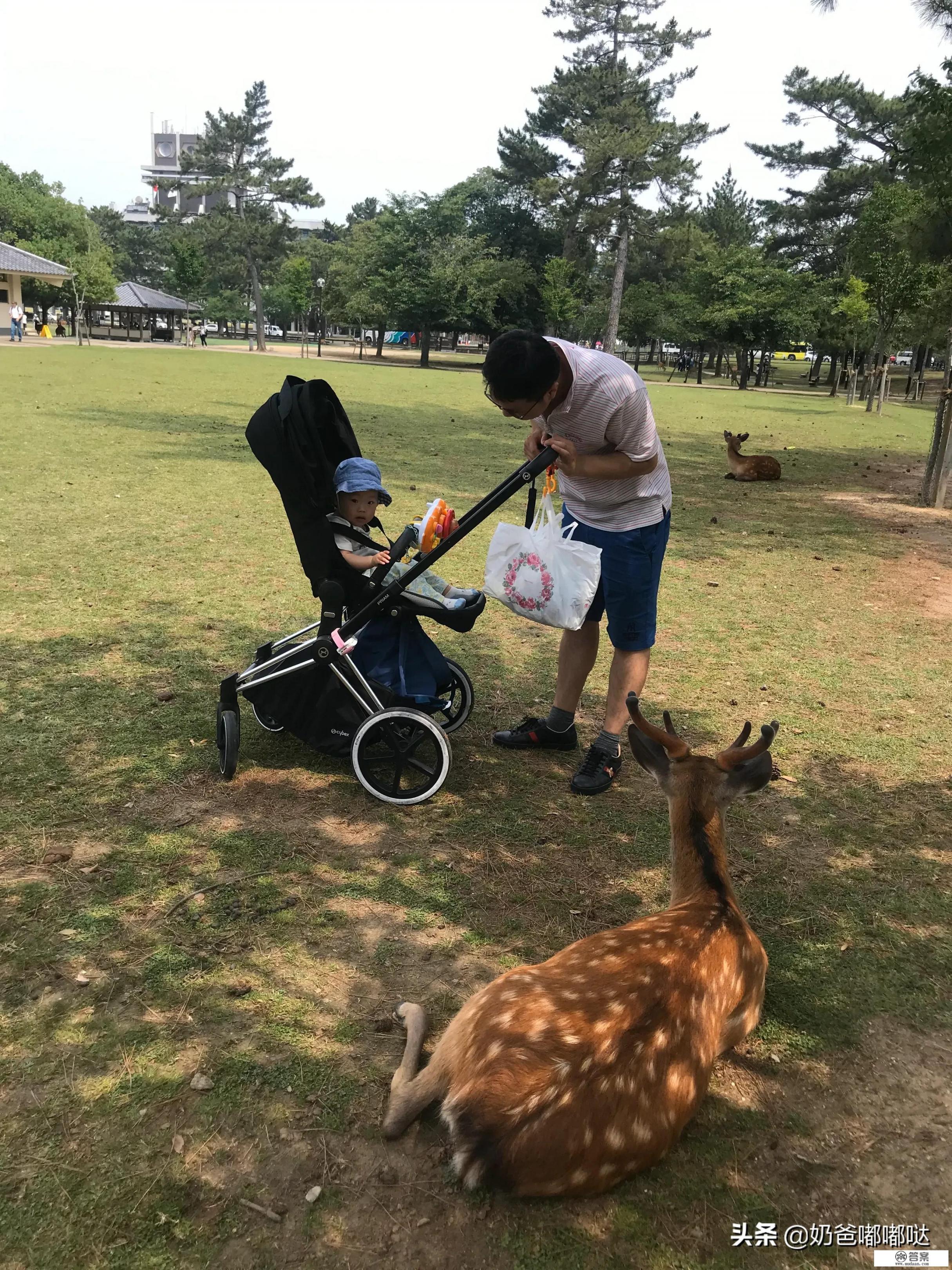 第一次带宝宝出国旅行有哪些建议