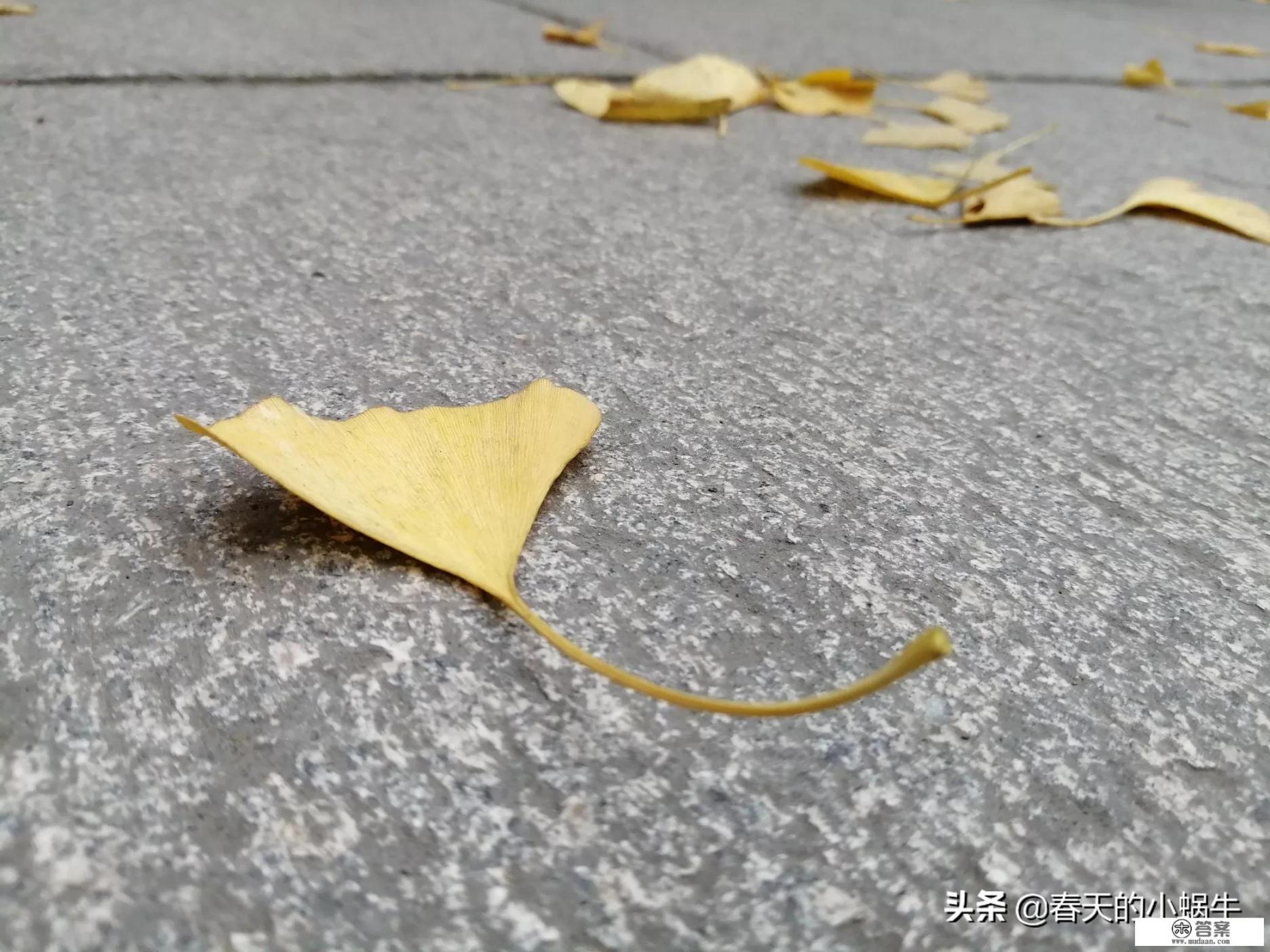 旅游是夫妻二人玩的舒服？还是多个朋友一起旅游更加有趣