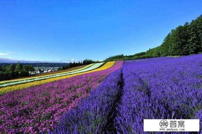 北海道7天6夜行程规划，有什么建议吗