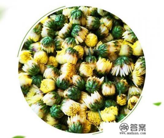 常喝菊花茶有什么好处