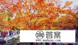 2021年11月去北京旅游安全吗