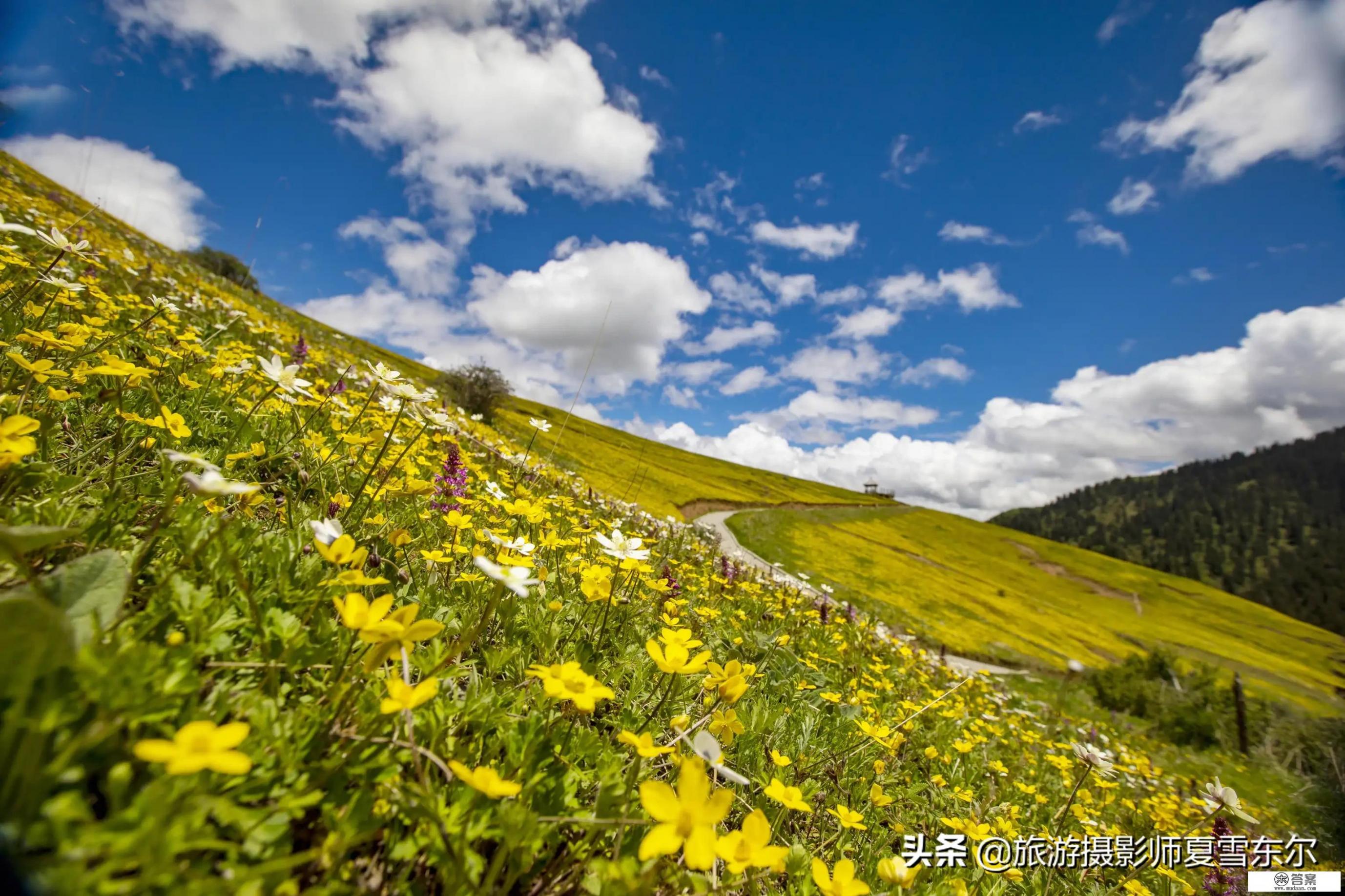 中国哪个城市最适合居住？气候好，冬暖夏凉的，一二三线城市都行