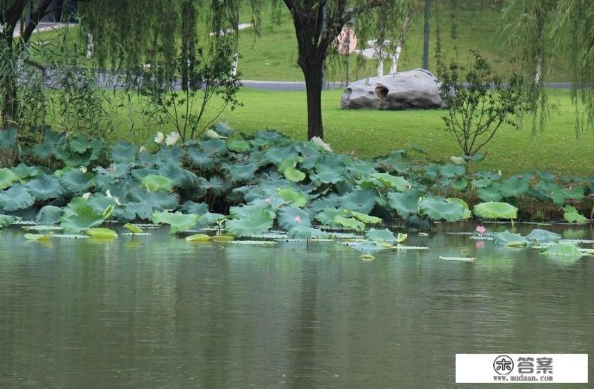 每个地方都有特色美食，你最喜欢吃什么