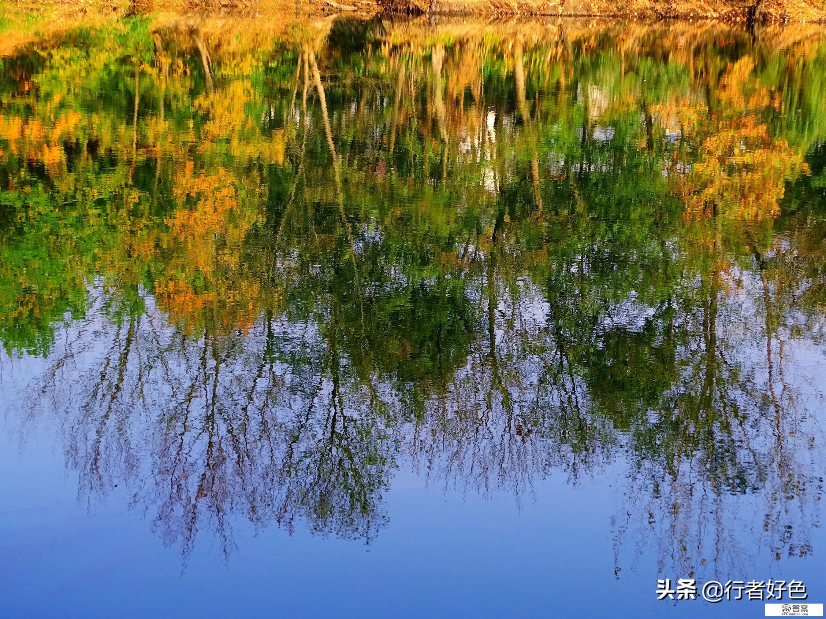 茨石是什么