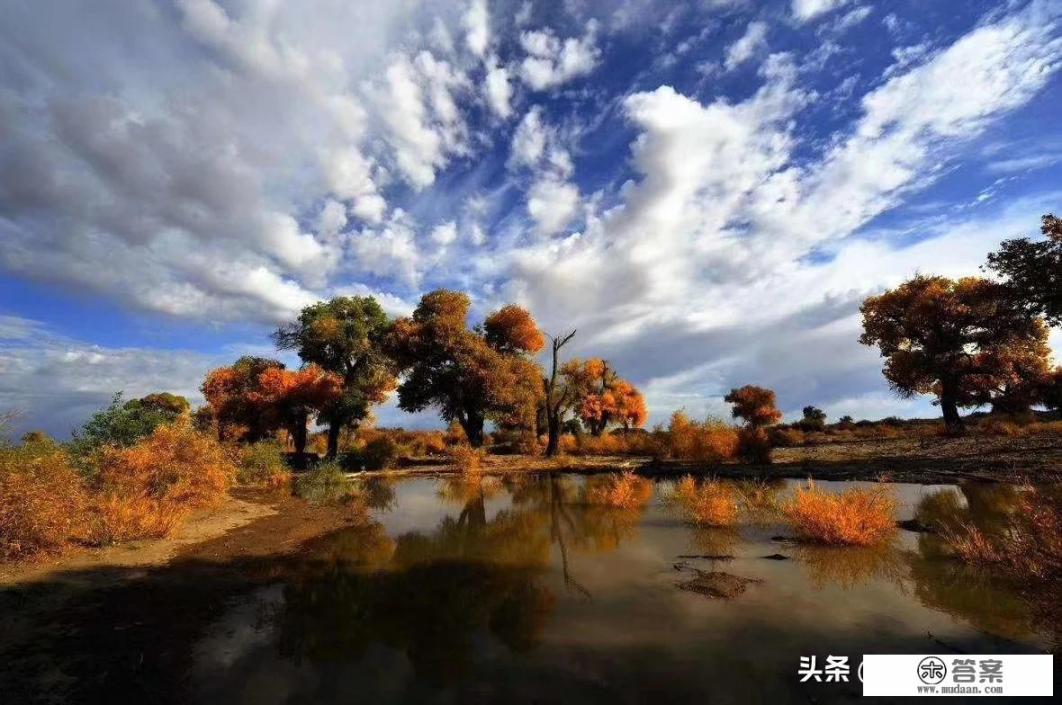 武侯区红城茶楼最近地铁口