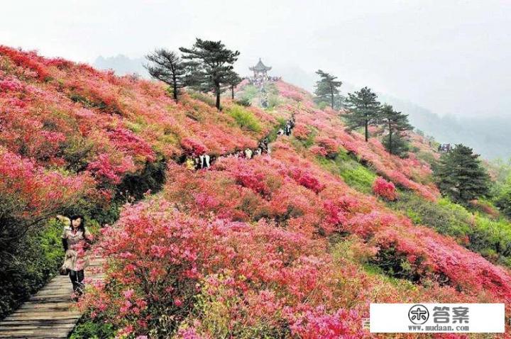 国际旅游的优点及缺点