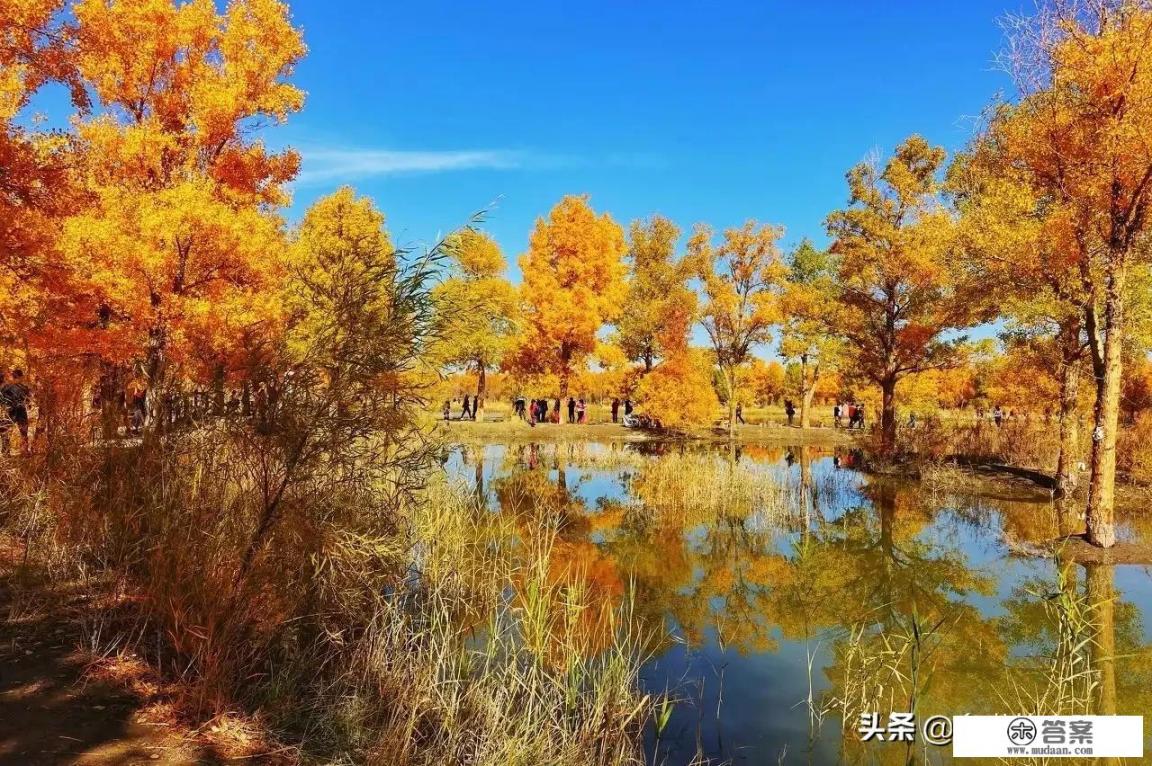 拍的最好的秋景分享下