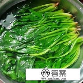 菠菜搭配什么炒出来既有营养又爽口