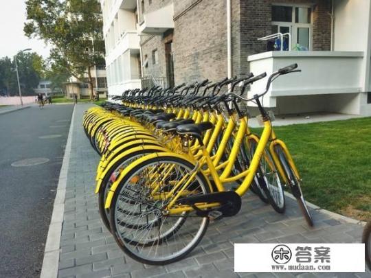 小黄车当废铁卖，业内称每吨1600元，退出成都？ofo：绝不放弃, 你怎么看